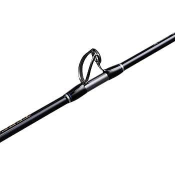 Amazon.com : Shimano Inc. Terez BW 70 M RG CST A : Sports
